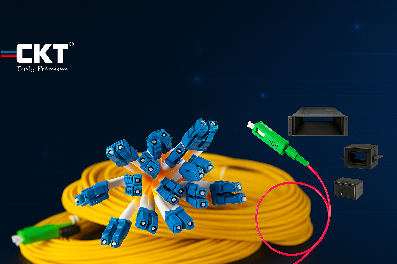 LIU (Light Interface Unit)